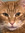 Elijah Oppenheim