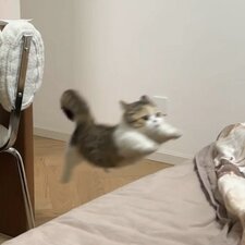 d.