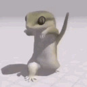 Vy