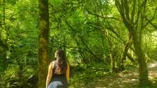 Leyre