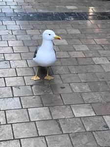 I C C
