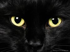 Nox