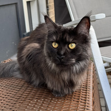 Barbara