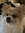 member photo member photo