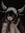 lyds ˙⋆...