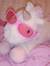 ipsha ⋆˚࿔