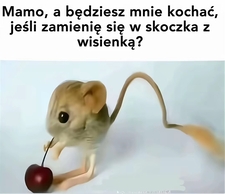 xofi10