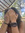 Maddie