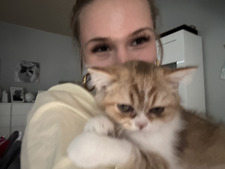 Maya