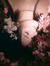 Angelin...