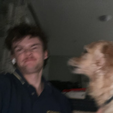 Lewis Hingston
