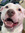 Kara