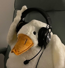 Reading Goose