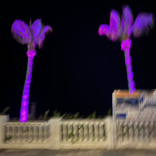 rooccio