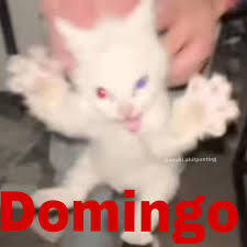 Jose