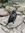 Diego Garcia