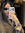 Noha
