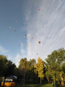 Lucro