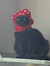 andriu