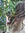 member photo member photo