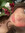 aundreya m | 1 comments