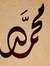 Mohamed...