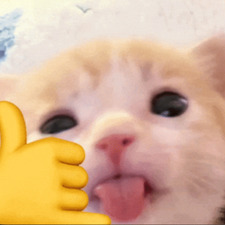 meowcuska