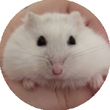 YaSu