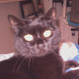 Katherine