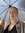 Laurinna Plaats