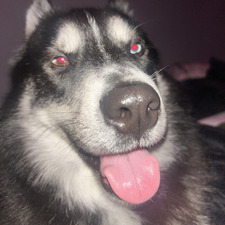 Bri