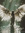 Natasha
