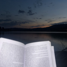 Reader