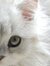 Loana