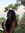 Anna Peix