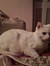 ❥ Michi...