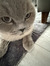 Zeynep ...