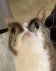 WEH EOW