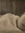 Grace Sheppard