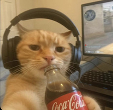 Niki
