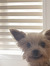 Amy