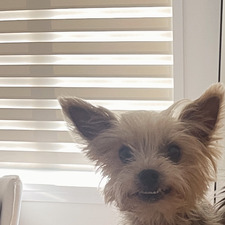 Amy