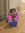 mavis - v -