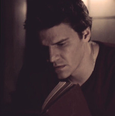 Mark Taylor