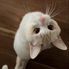 am ♡