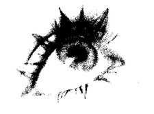 yue
