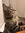 Tiny Suz