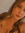 Shanae Flanders