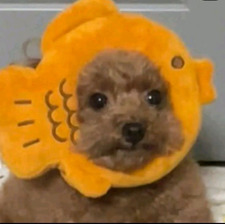 ☆