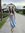 Rachelle Soh
